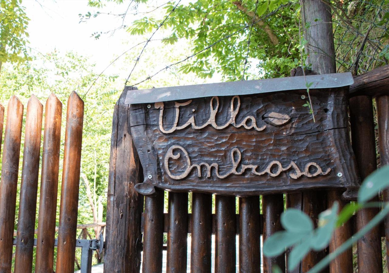 Dolf - Villa Ombrosa Isola  Bagian luar foto