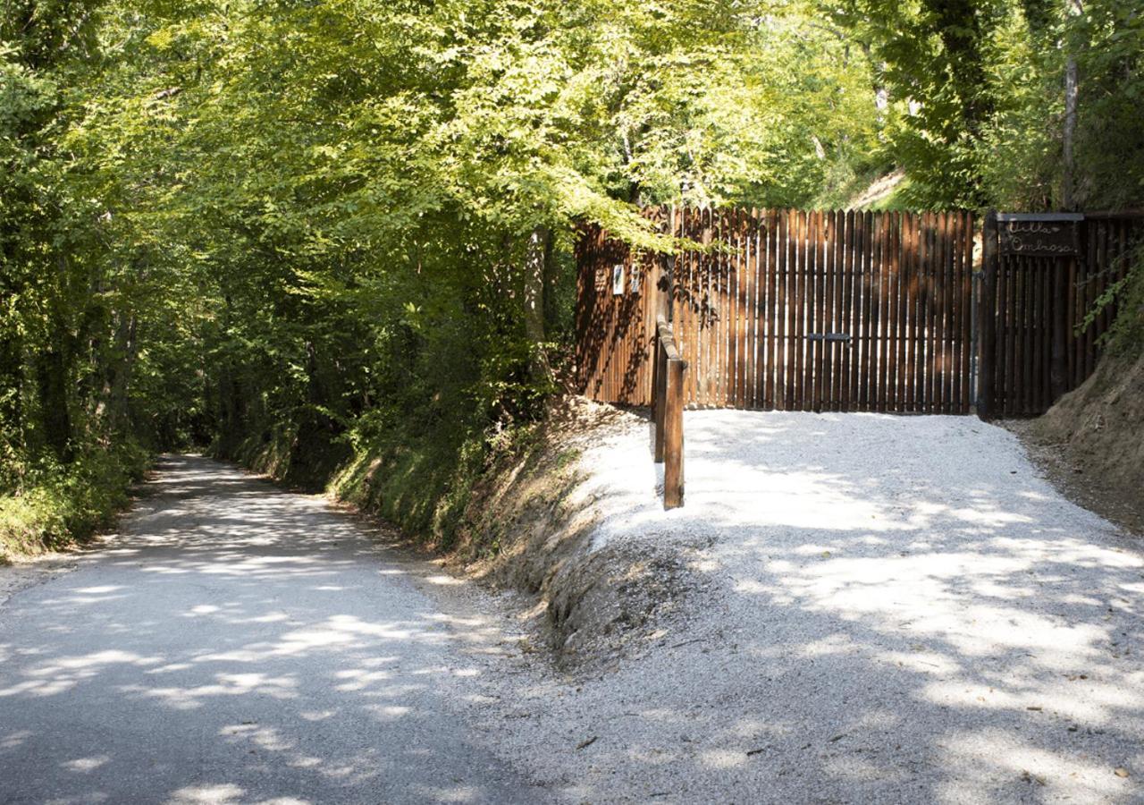 Dolf - Villa Ombrosa Isola  Bagian luar foto